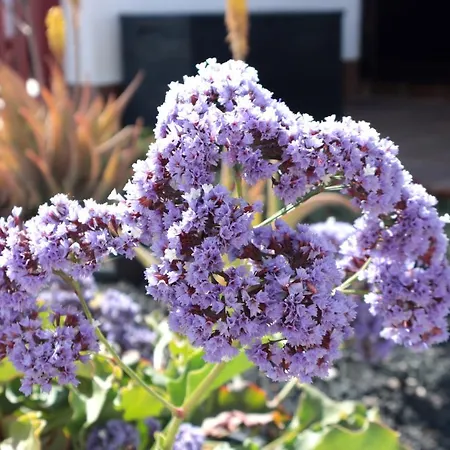 Apartmán Sun 33 Caleta De Fuste