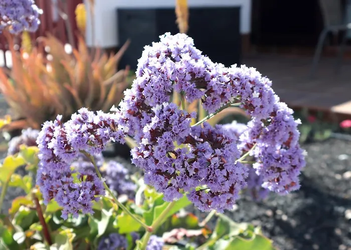 Apartmán Sun 33 Caleta De Fuste